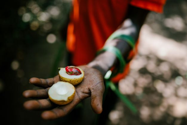 Madness of Nutmeg! by Rachael Afra