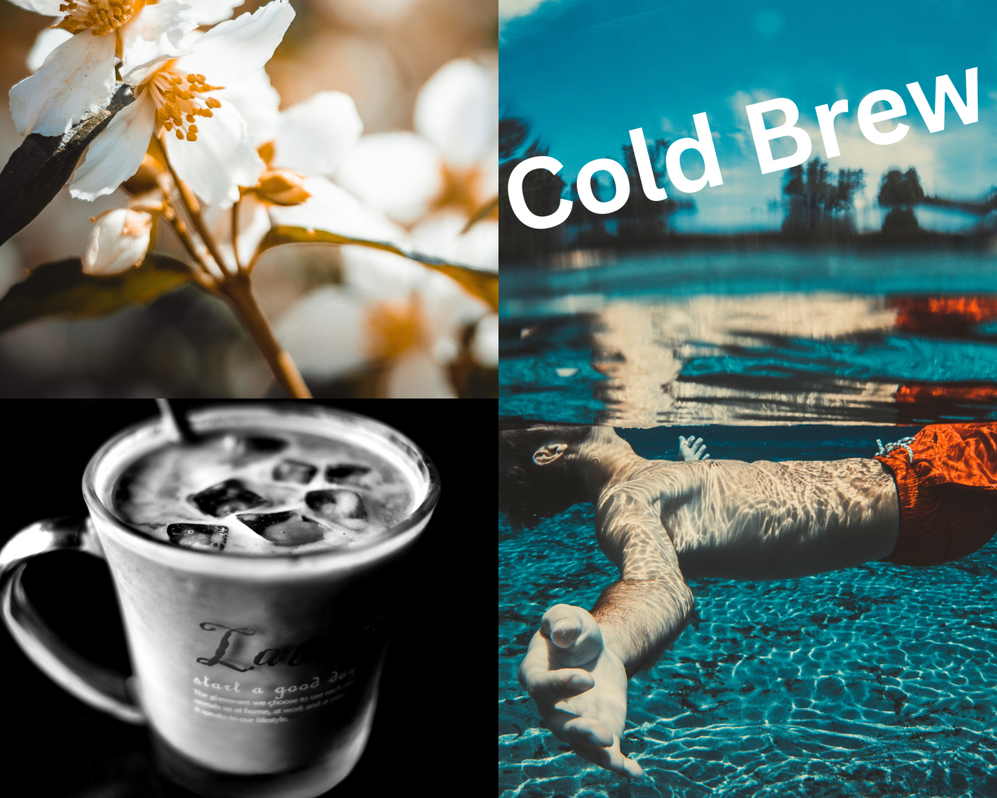 Coffee- Cold Brew Coffee