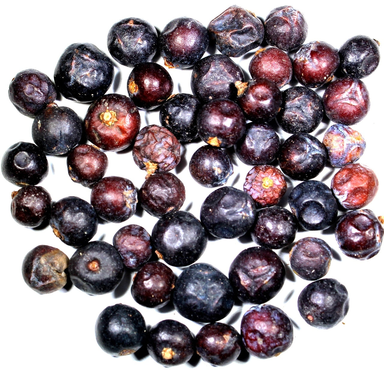 Spices-Juniper Berry