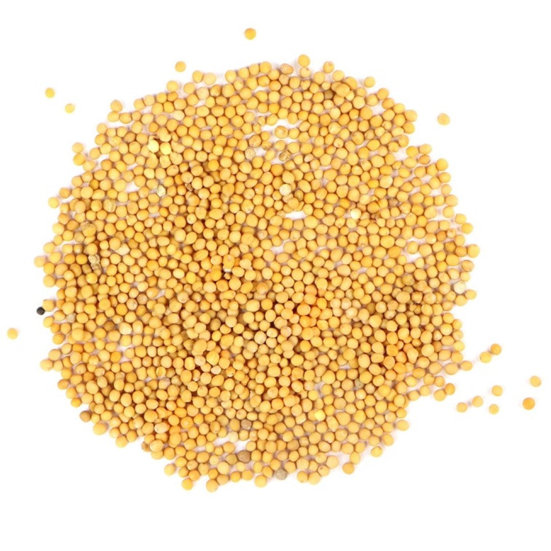 Spice-Yellow Mustard Seeds(Whole)