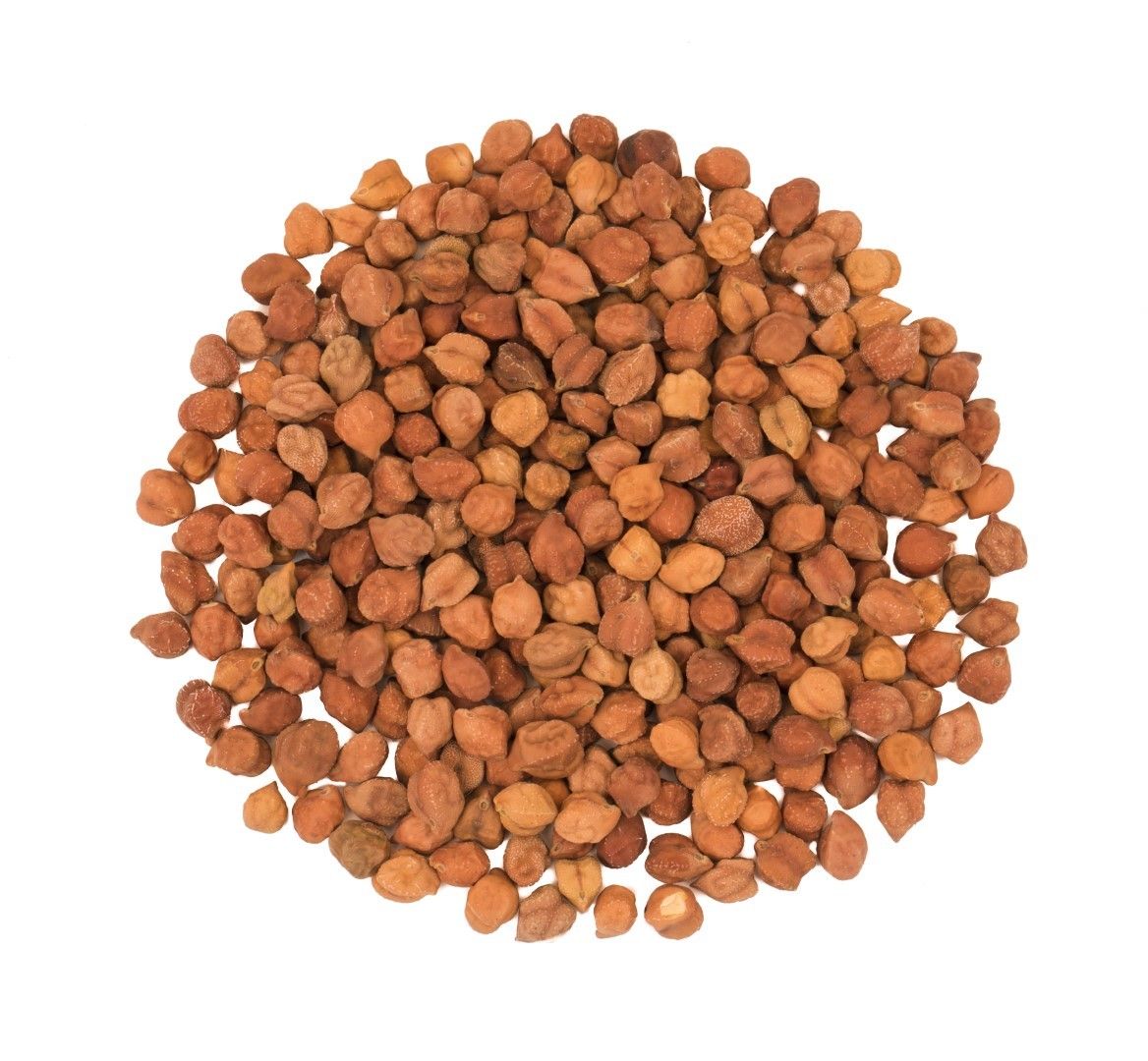 Legumes- Brown Chickpeas