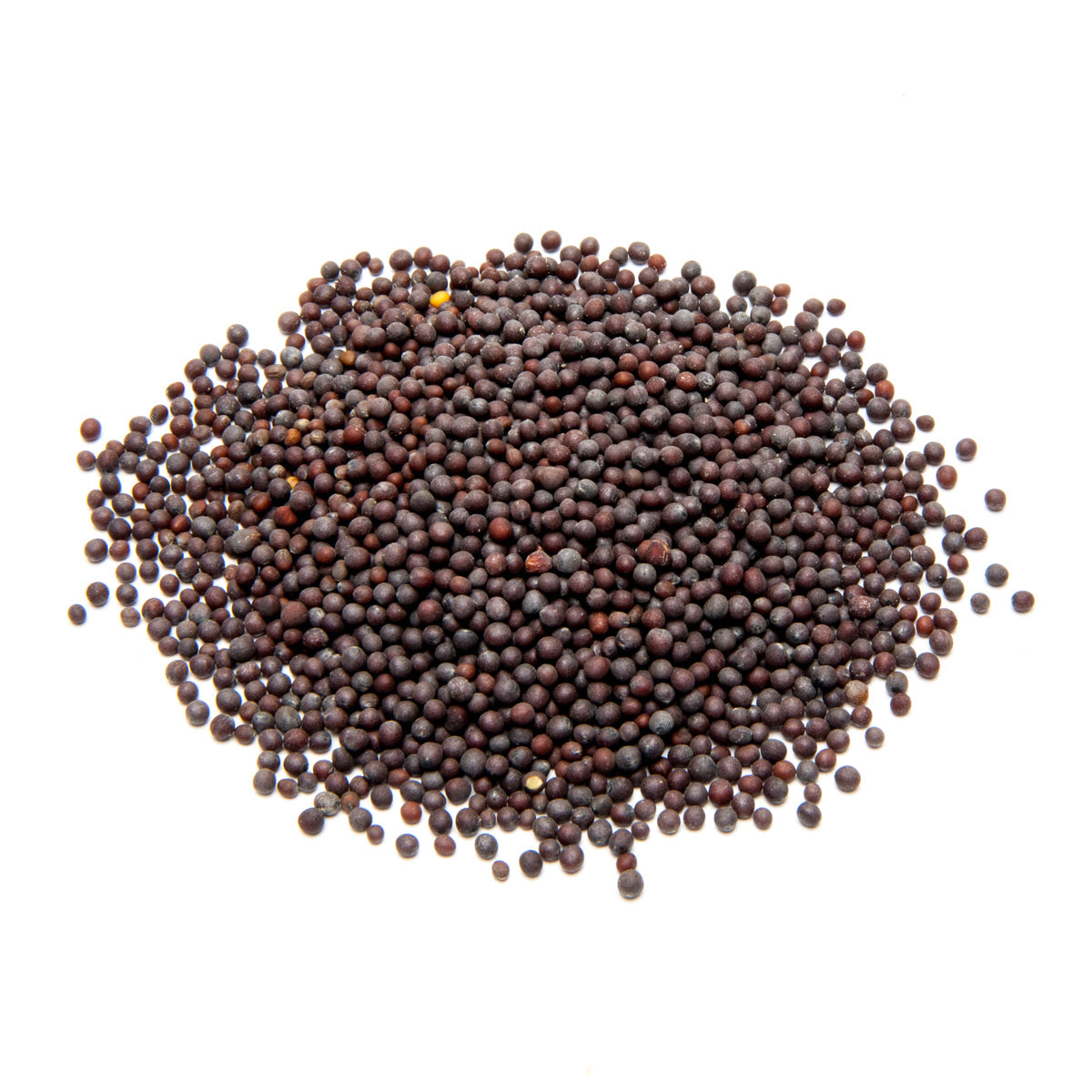 Spice-Mustard Seeds Brown (Whole)