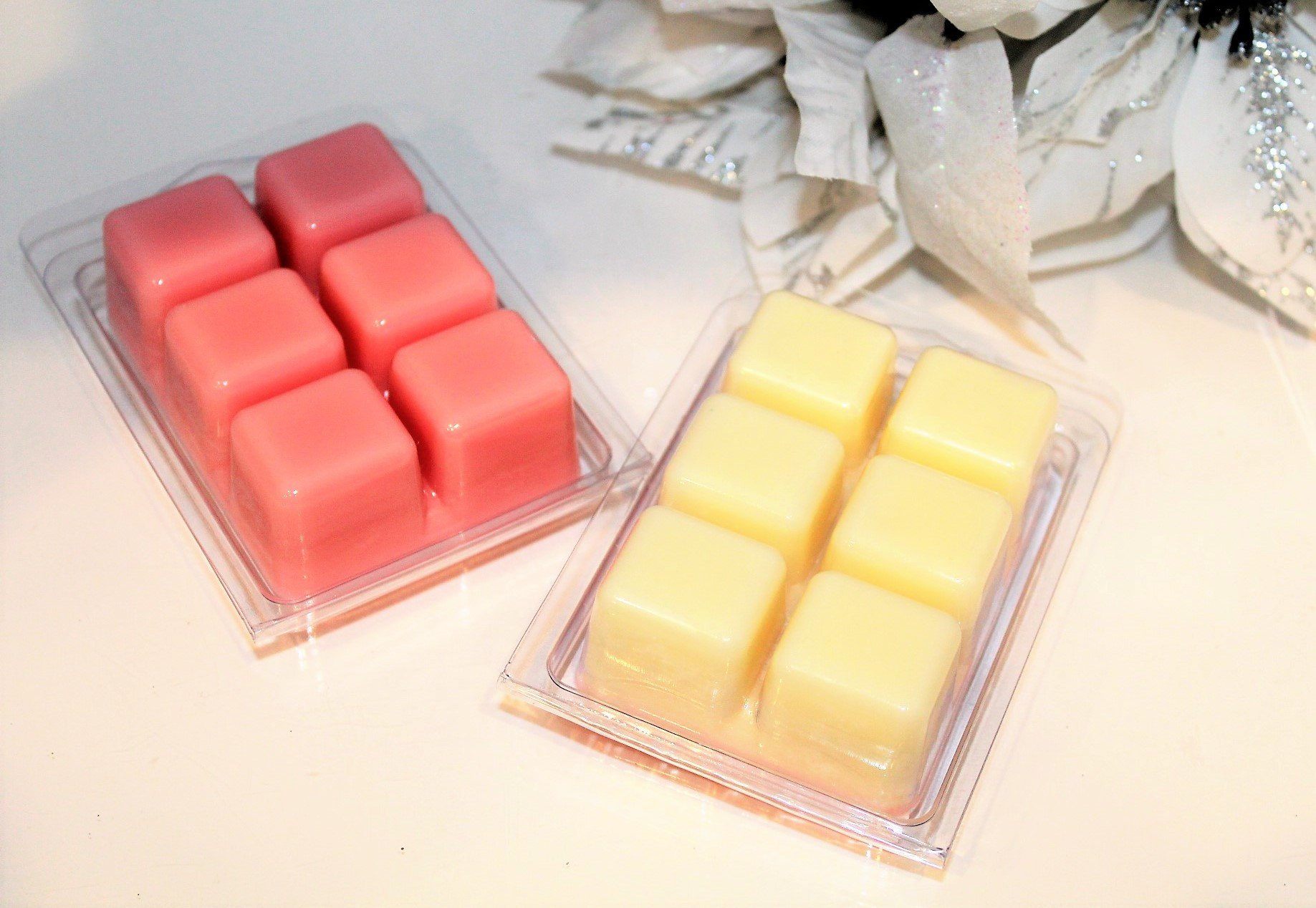 Tropical Wax Melts-4